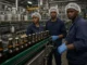 SAB Technical Trainee Packaging Production Programme